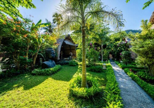 Yoga Retreats