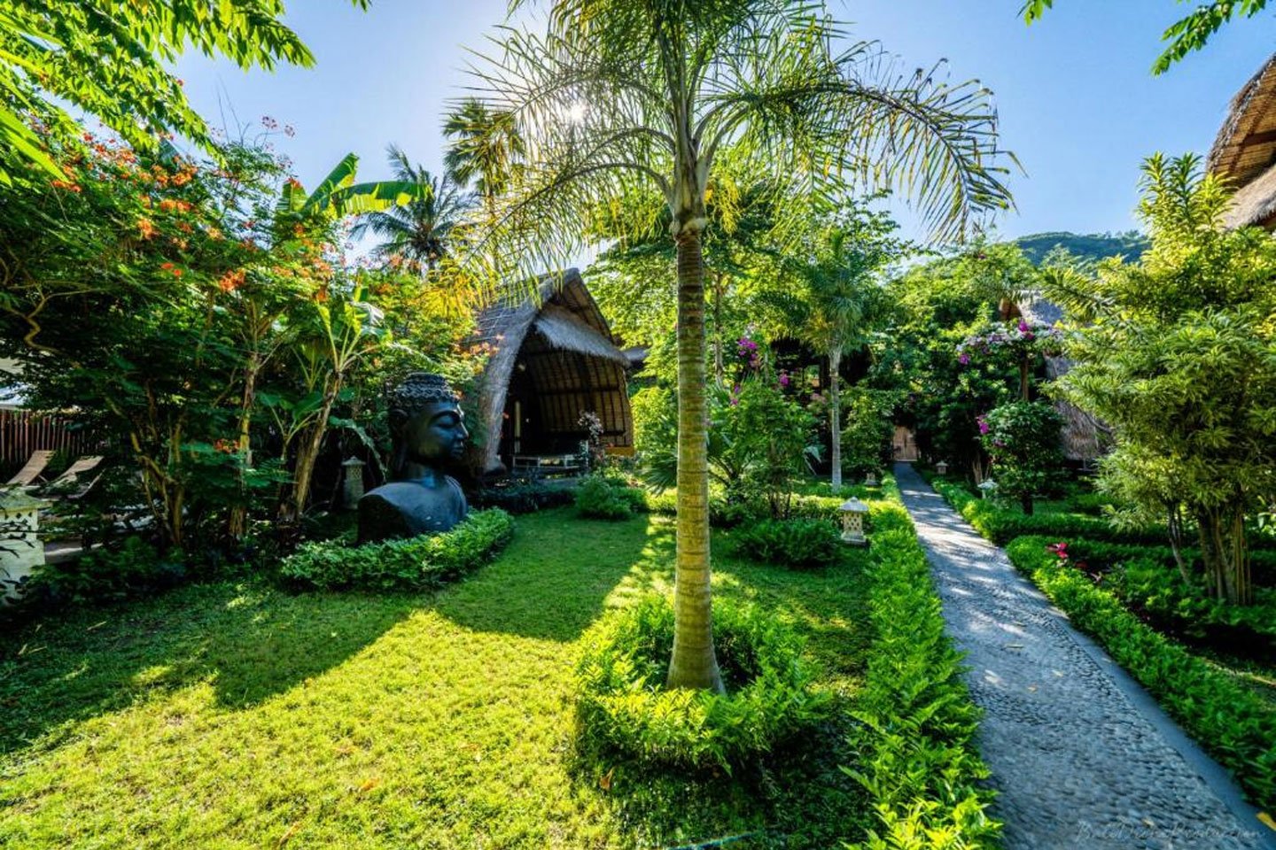 Yoga Retreats