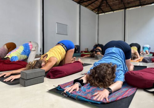 Yoga Teacher Training