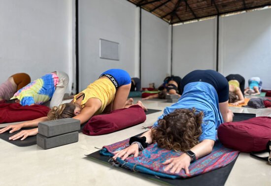 Yoga Teacher Training