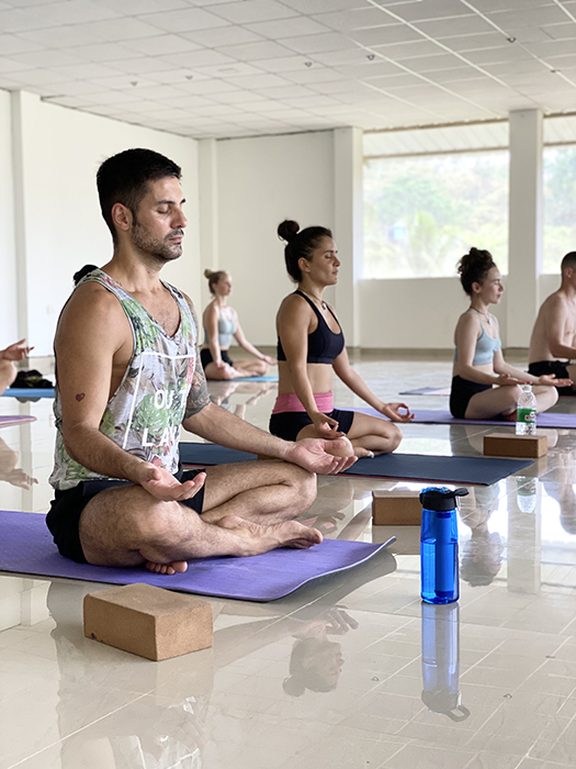 Vinyasa Yoga